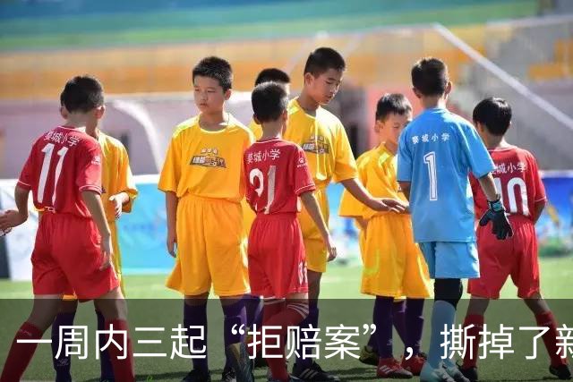 一周内三起“拒赔案”，撕掉了新能源车“终身质保”的遮羞布？