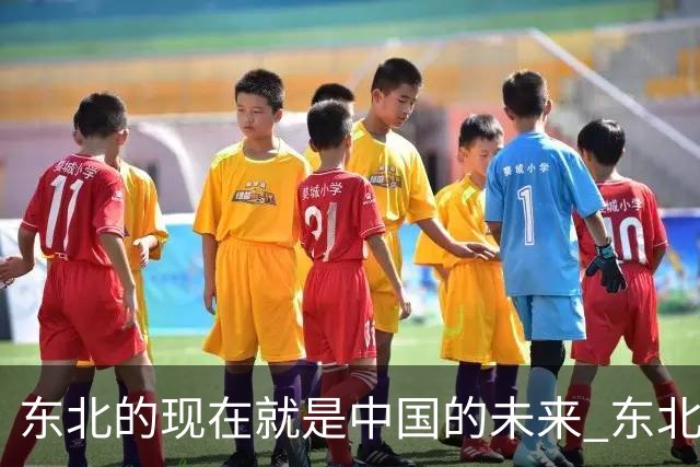东北的现在就是中国的未来 东北已经用实际行动告诉我们，人口一少真的就不卷了