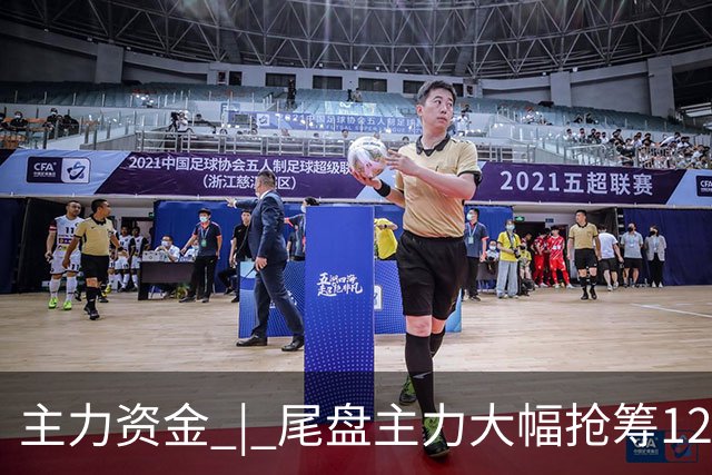 主力资金 | 尾盘主力大幅抢筹12股