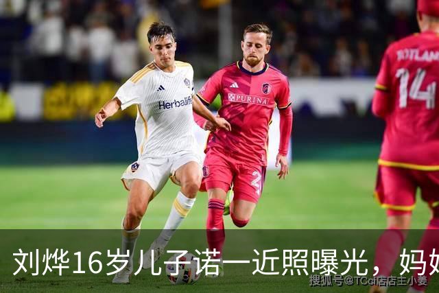 刘烨16岁儿子诺一近照曝光，妈妈发文