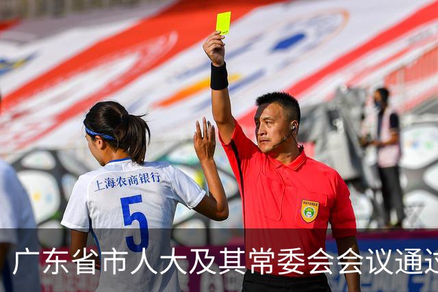 广东省市人大及其常委会会议通过一批人事事项