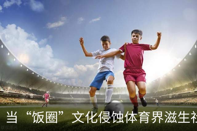 当“饭圈”文化侵蚀体育界滋生社会事件 追星就严重跑偏了