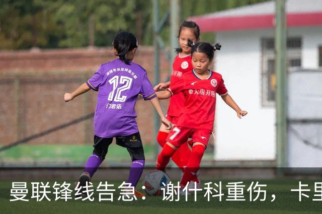 曼联锋线告急：谢什科重伤，卡里克力争取援勒温
