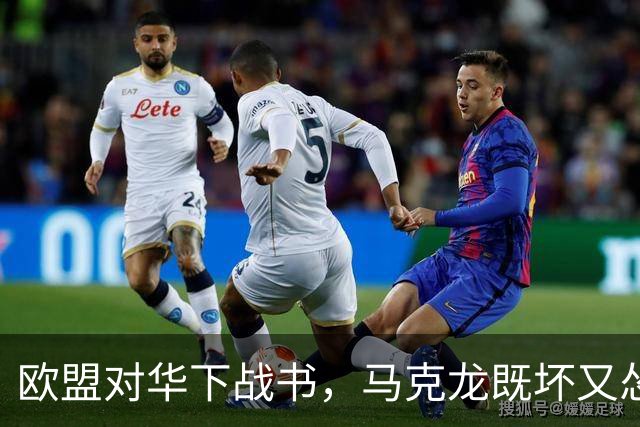 欧盟对华下战书，马克龙既坏又怂，意大利前高官：这帮人毁了欧洲