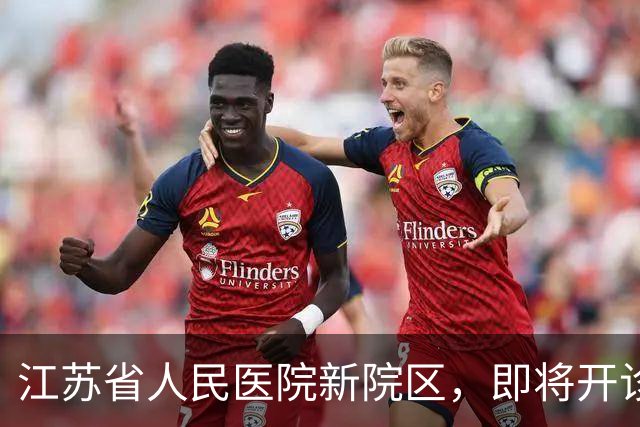 江苏省人民医院新院区，即将开诊！