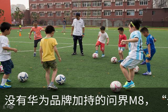 没有华为品牌加持的问界M8，“分手”后的首款新车，能卖好吗？