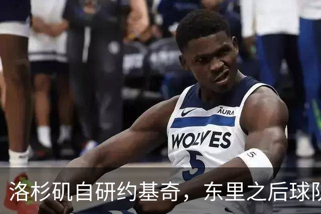 洛杉矶自研约基奇，东里之后球队第三核，湖人今夏最佳引援只能是他