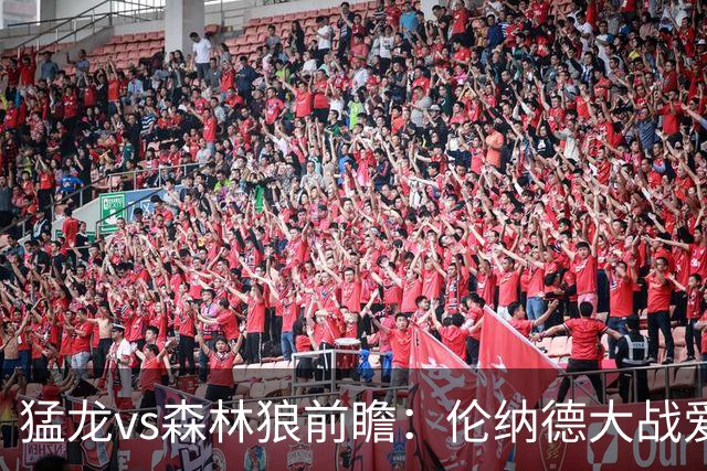 猛龙vs森林狼前瞻：伦纳德大战爱德华兹，一场不同风格的强硬对决