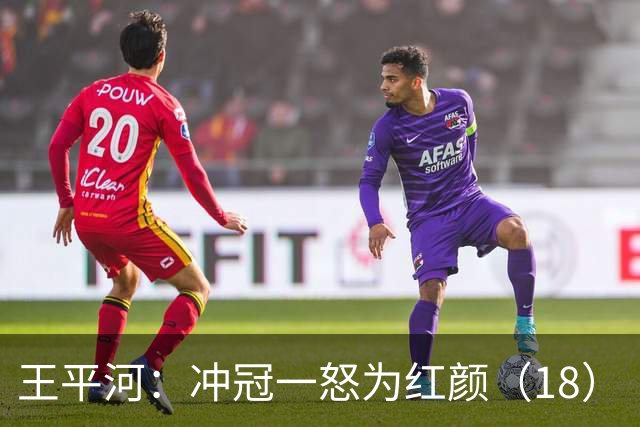 王平河：冲冠一怒为红颜（1/8）