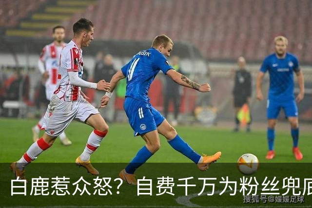 白鹿惹众怒？自费千万为粉丝兜底遭围攻，看清内幕才知她有多清醒