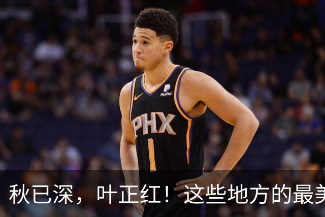 秋已深，叶正红！这些地方的最美秋色已上线→