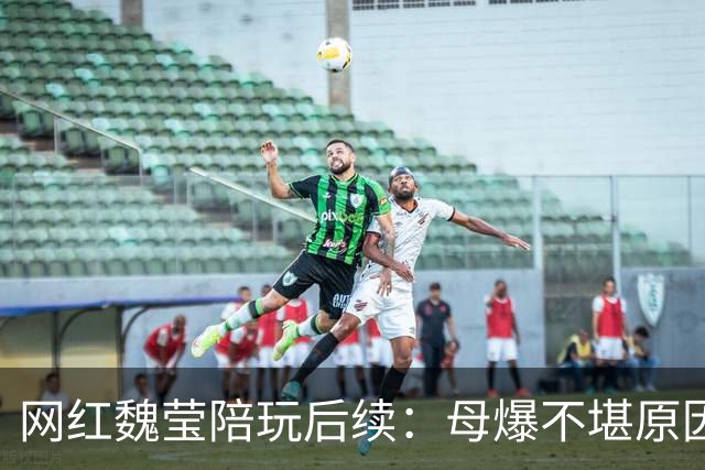 网红魏莹陪玩后续：母爆不堪原因，连续陪3个大哥，她并没离婚