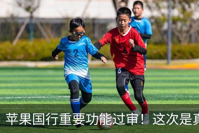 苹果国行重要功能过审！这次是真的要来了