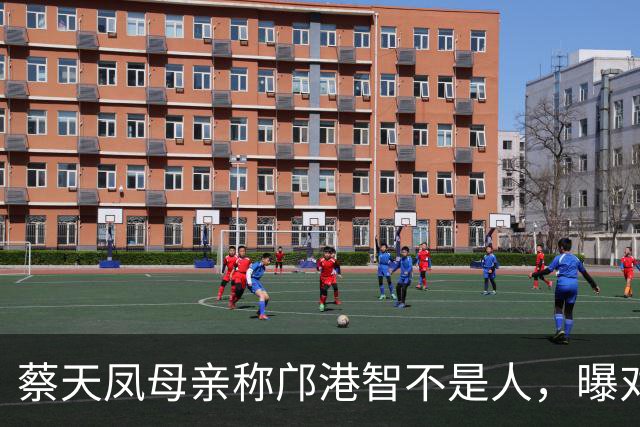 蔡天凤母亲称邝港智不是人，曝对方17岁入住蔡家，嘴甜会哄人开心