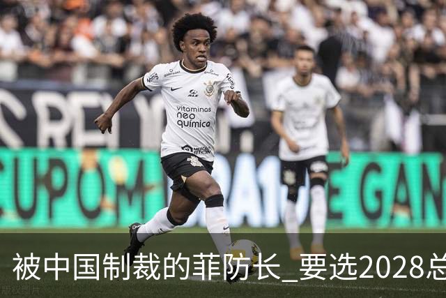被中国制裁的菲防长 要选2028总统 支持率竟直接挂零？