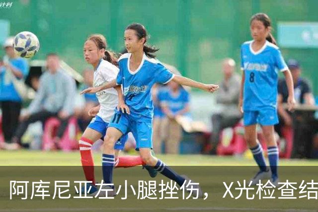 阿库尼亚左小腿挫伤，X光检查结果为阴性