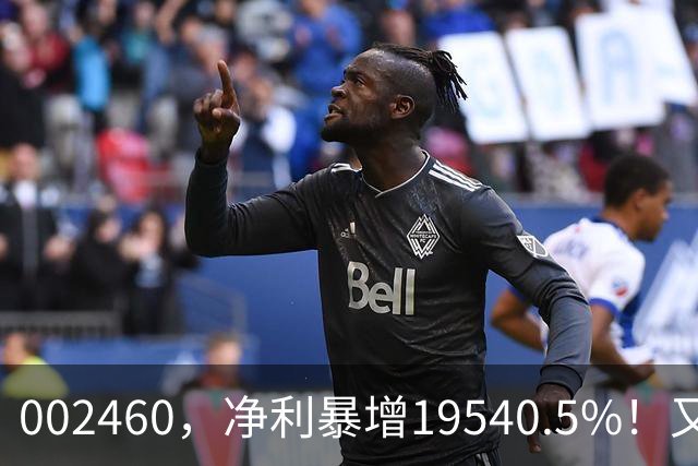 002460，净利暴增19540.5%！又一份三季报来了