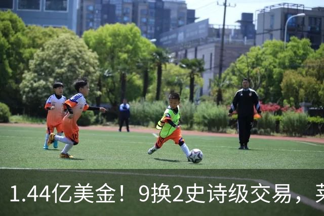1.44亿美金！9换2史诗级交易，莱利豪赌四巨头，不夺冠便是失败