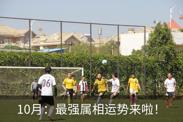 10月：最强属相运势来啦！
