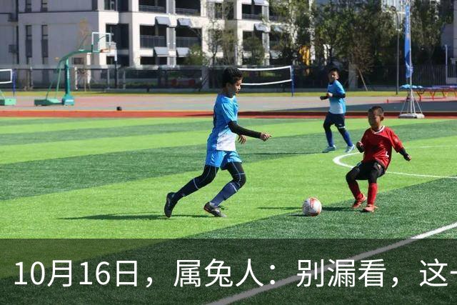 10月16日，属兔人：别漏看，这一天对你很重要
