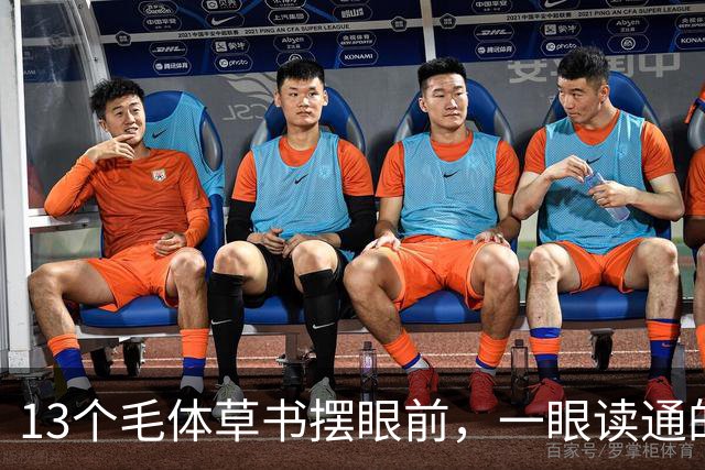 13个毛体草书摆眼前，一眼读通的人，书法眼光差不了。什么样的字才是好书法？