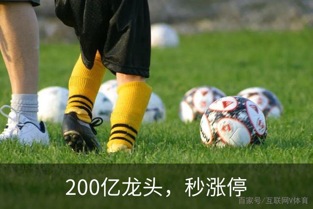 200亿龙头，秒涨停