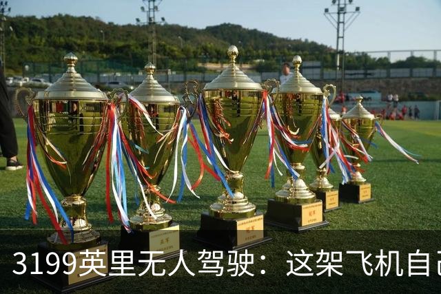 3199英里无人驾驶：这架飞机自己完成了横跨美国