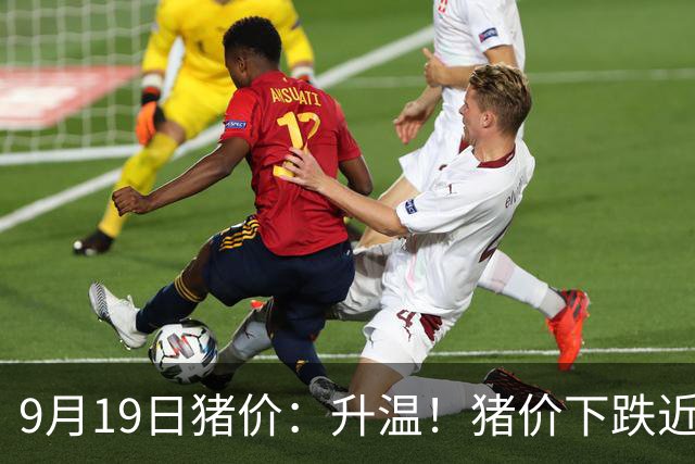 9月19日猪价：升温！猪价下跌近乎“熄火”，南北多地“雷霆”上涨！发生了啥？